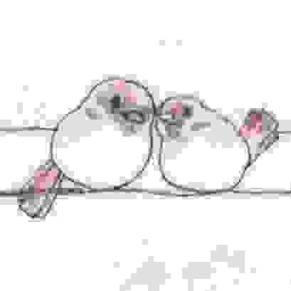 broken image
