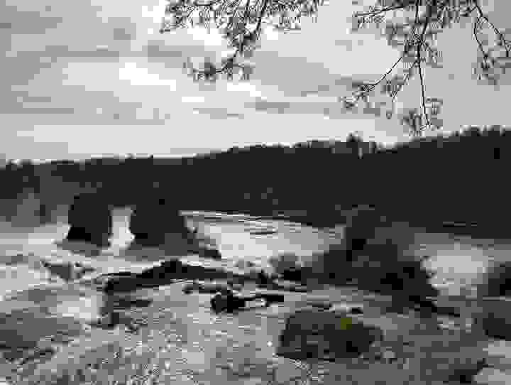 Section image