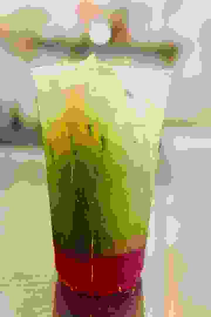 Coconut Girl Kitchen™