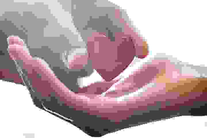 Section image