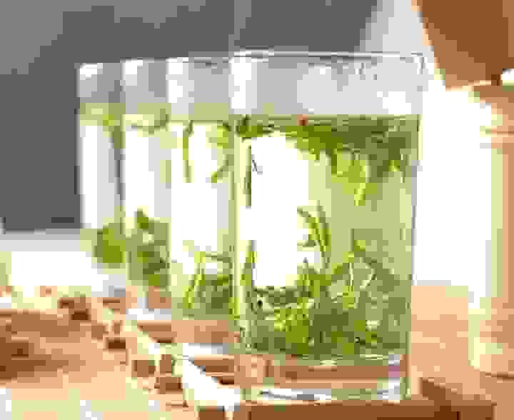 broken image