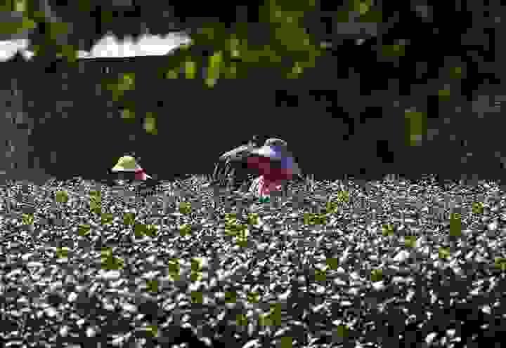 broken image