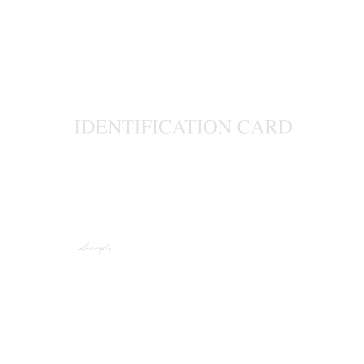 broken image