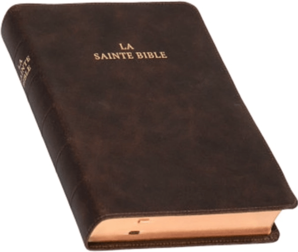 Bible Darby Cuir brun avec rebord