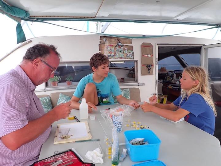 nature explorer french polynesia