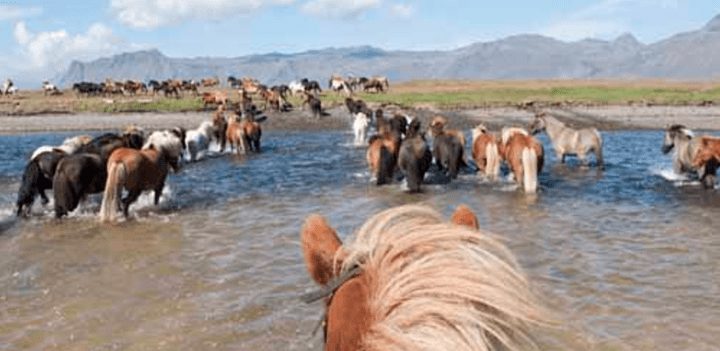 horse riding french polynesia