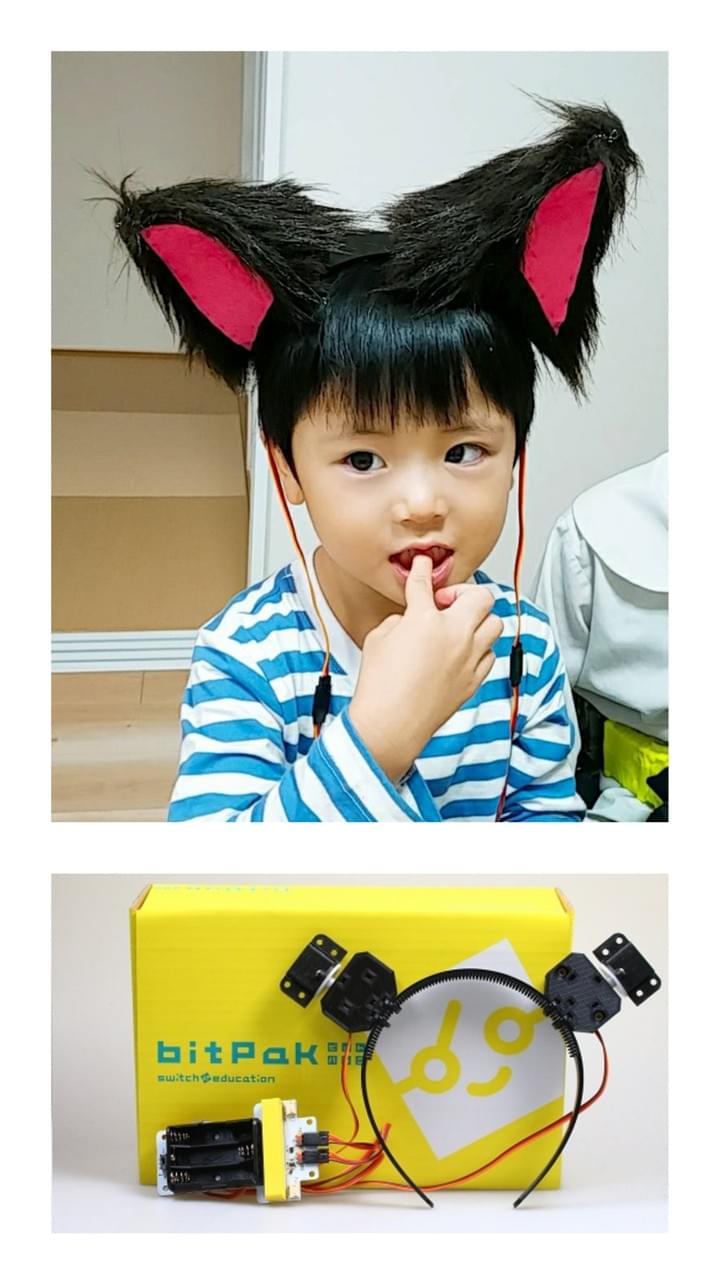 Section image