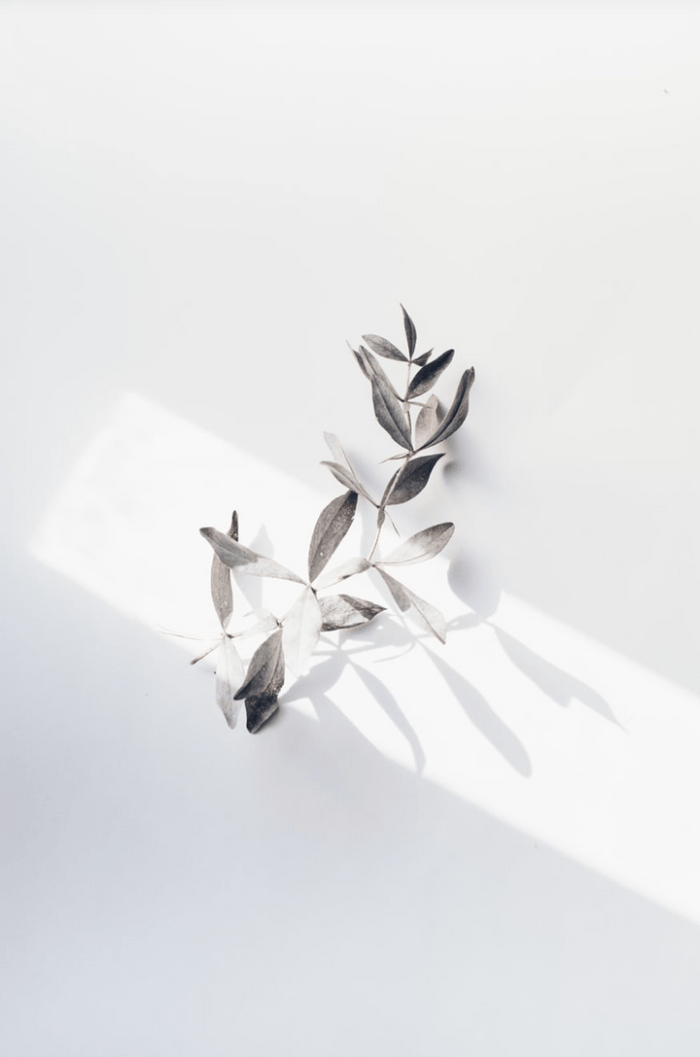 Trame Praticien Paris Joie Bien-Être libération émotionnelle  