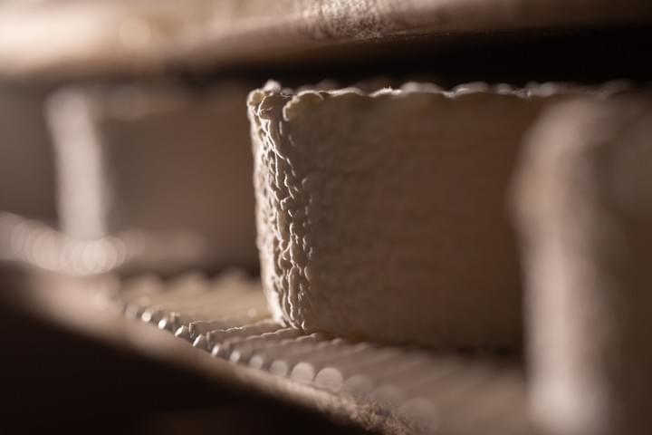 Double crème au lait cru biologique de la Ferme Sainte Colombe -Île-de-France