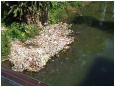 La forêt d’altitude en raréfaction. Photo Jean Garrigues  Avril 2016 Samagaon 3500 m 