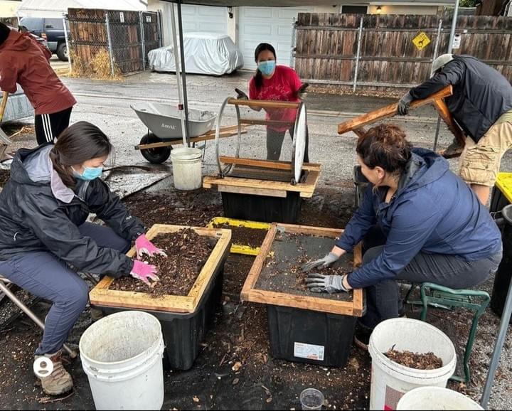 I designed this image using Canva! It's a great place for amateur graphic designers like me! 