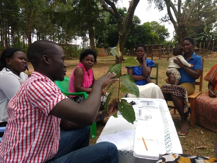 I hired and trained a brand new team for One Acre Fund, the Qualitative Specialists. While working in Kenya, I recognized that some of our products and trainings could be improved through increased farmer feedback.  I trained the team on Human-Centered Design principles. We used these skills to revamp our lime product, develop a maize leaf-counting training, deep-dive into water quality issues, and many others.