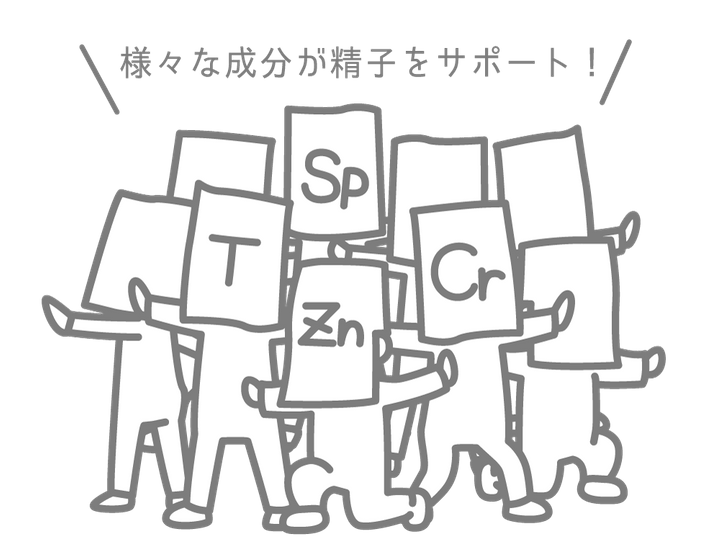 「精しょう」の役割