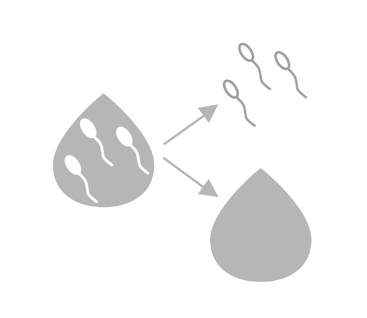 精液＝精子＋精しょう