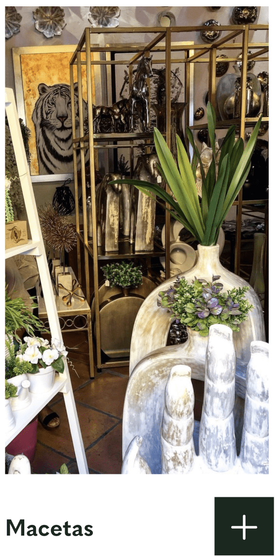 Casa Martina  Decoración de Interiores Tiendas de Decoración  Macetas Esferas de Vidrio Soplado Tiendas Decoración San M
