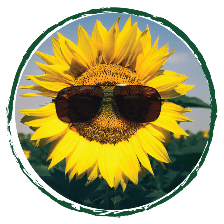 Razmjena mladih u Španjolskoj pod nazivom Roots & Routes