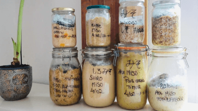 MISO FERMENTATION FERMENTED FOOD JAPAN