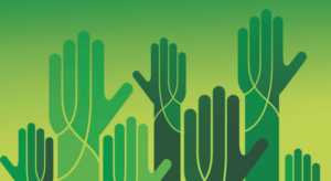 Human rights in insect food