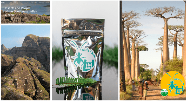 IPSIO Valala Farm certified Entotrust