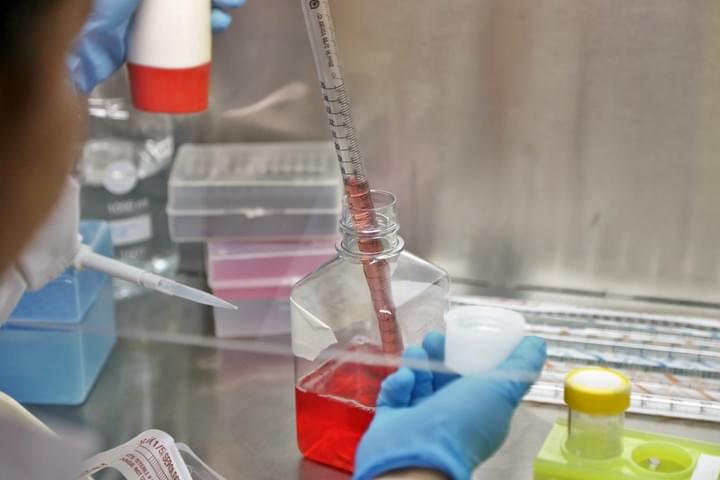 Procyl therapeutics: Re-Searching Drugs