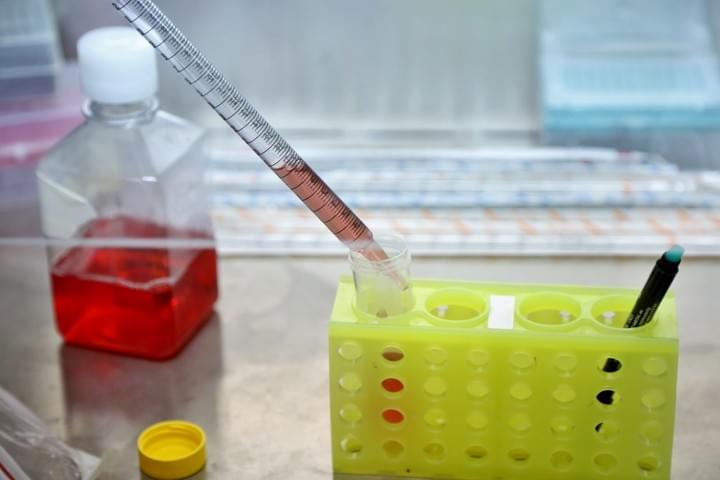 Procyl therapeutics: Re-Searching Drugs