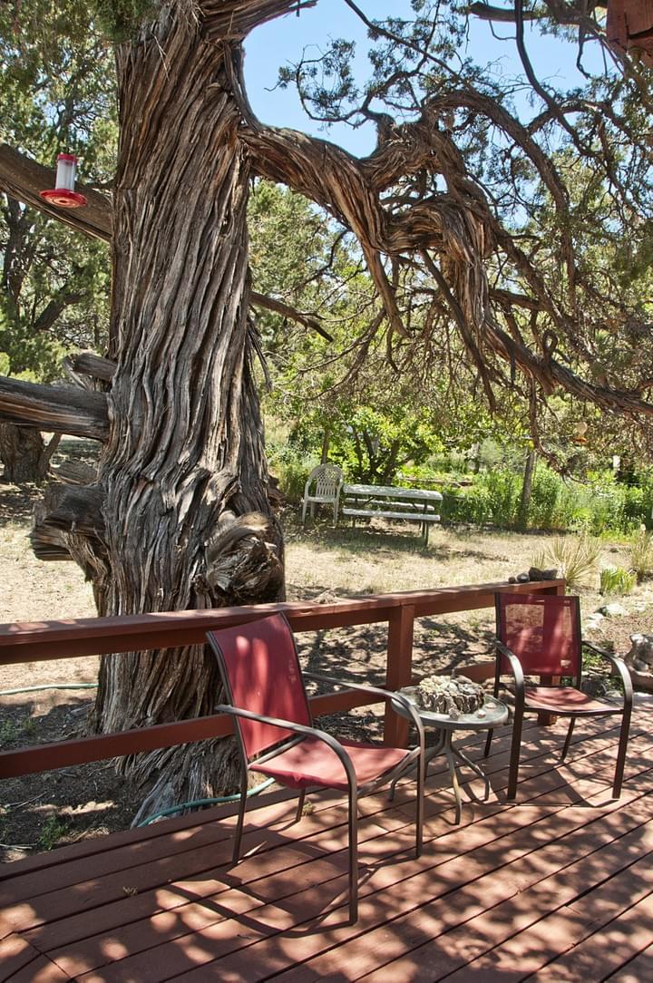 Sri Aurobindo Learning Center