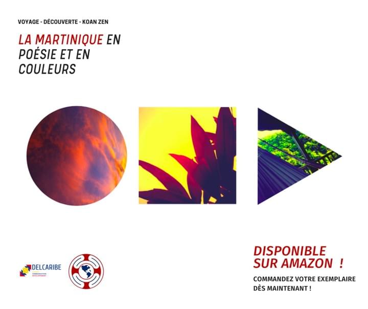 piments-noirs-jerome-magal-olivier-fonteau-poesie