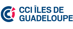 cci-iles-de-guadeloupe