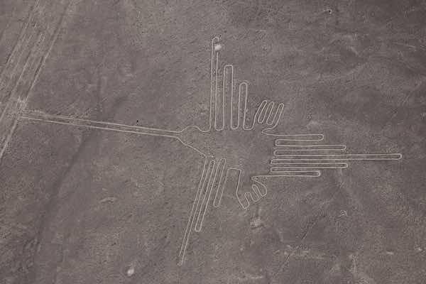 francois-bianco-colibri-nasca-peru