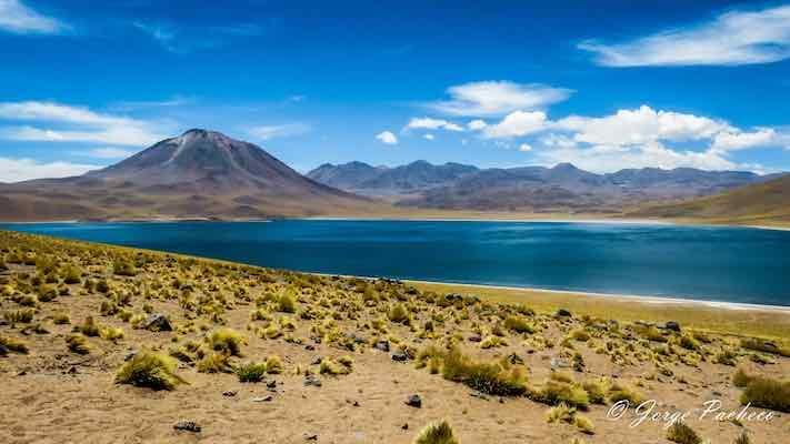 Jorge-pacheco-laguna-miscanti-reserva-los-flamencos-chile-flickr