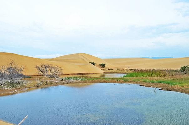 parque-nacional-medanos-de-coro