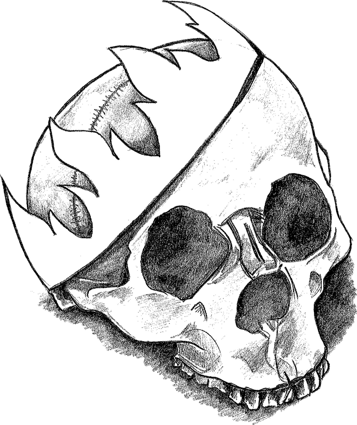 Black and white pencil sketch of a skull wearing a crown