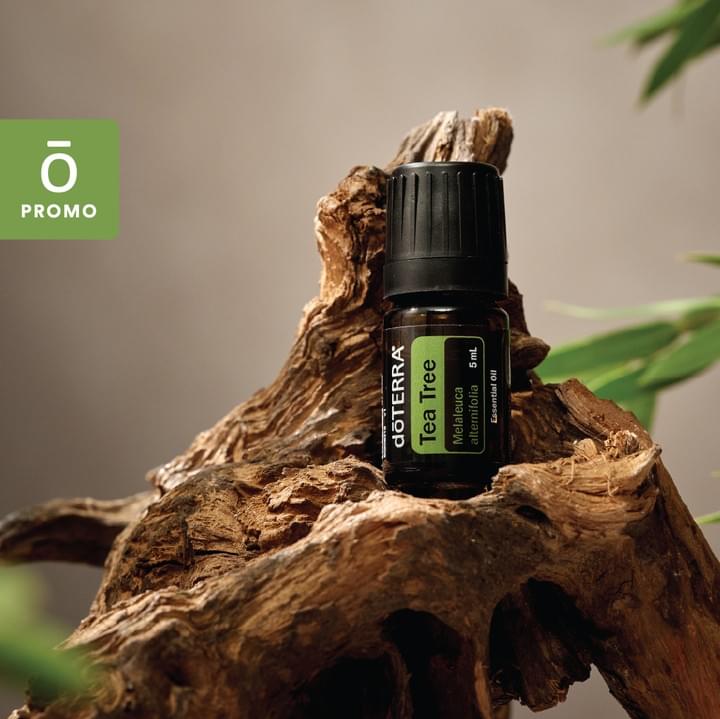 free stuff, free oil, refreshing, free products, special deals 