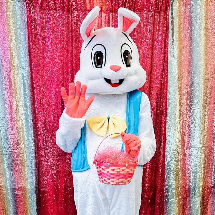 Easter Bunny Mascot Character Performer Kids Birthday Party in Edmonton