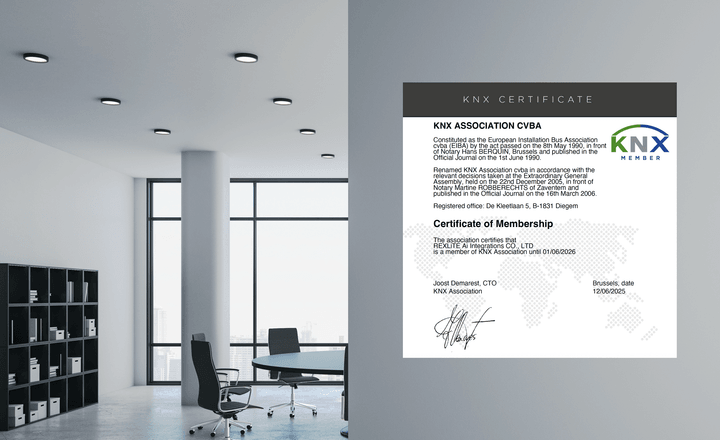 REXLiTE AI 解決方案