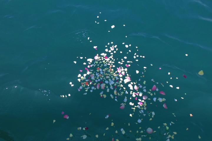 アフターフォロー散骨