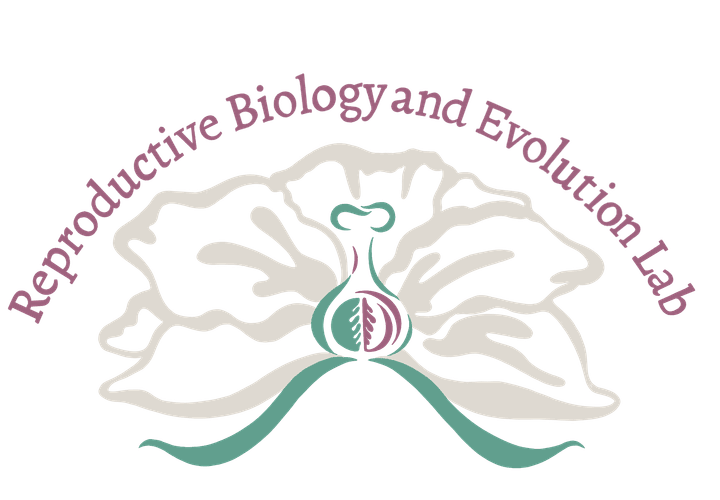 Logo: Ashlynne Bracamonte