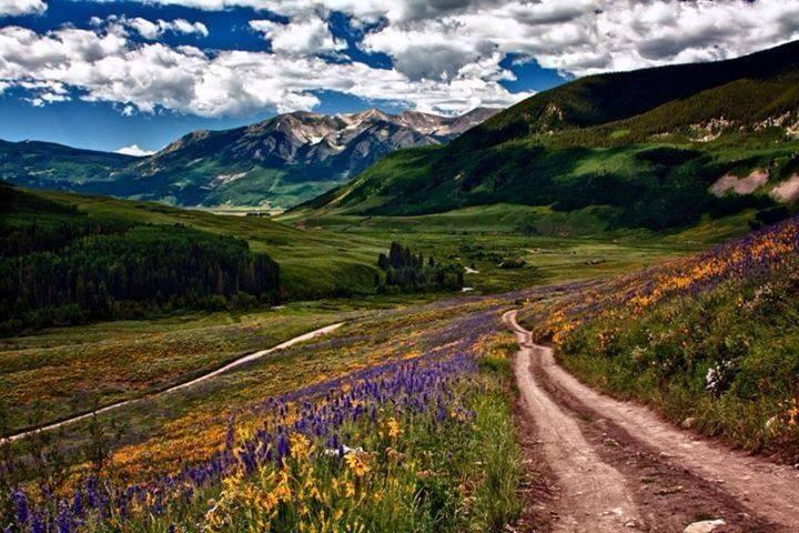 Crestone - Sri Aurobindo Learning Center