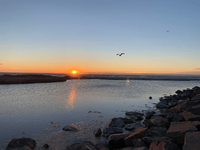 Healing Center DC, Erin Hirschhorn