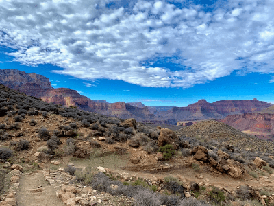 Healing Center DC, Energy Healing, Erin Hirschhorn