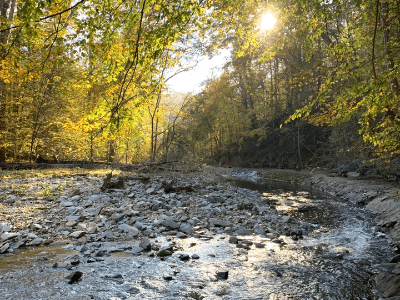 Healing Center DC, Energy Healing, Erin Hirschhorn