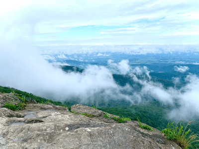 Healing Center DC, Energy Healing, Erin Hirschhorn