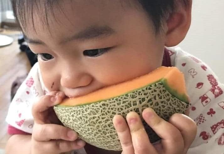 北海道共和町らいでんメロン