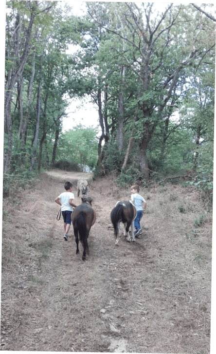 photo Michel Durigneux