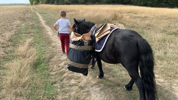 Collecte de déchets à l'Ecurie Grandpierre