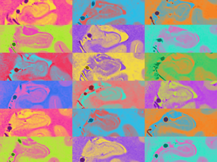 Section image