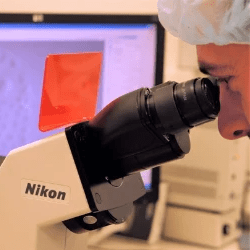 Oroxcell developed 3D Human Models Based Assays. It a cruelty free alternative to animal testing.