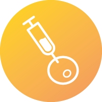 In Vitro Efficacy service. Test d'efficacité.