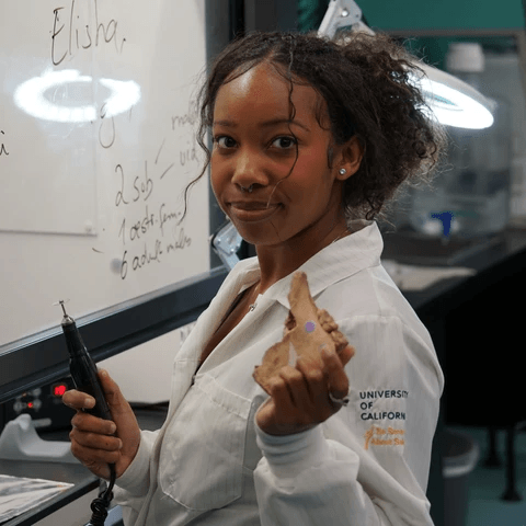 Picture by Vicky Oelze