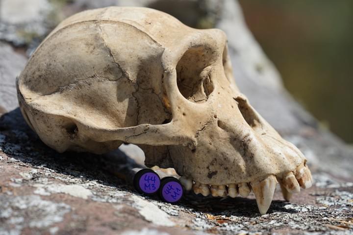 picture by Vicky Oelze